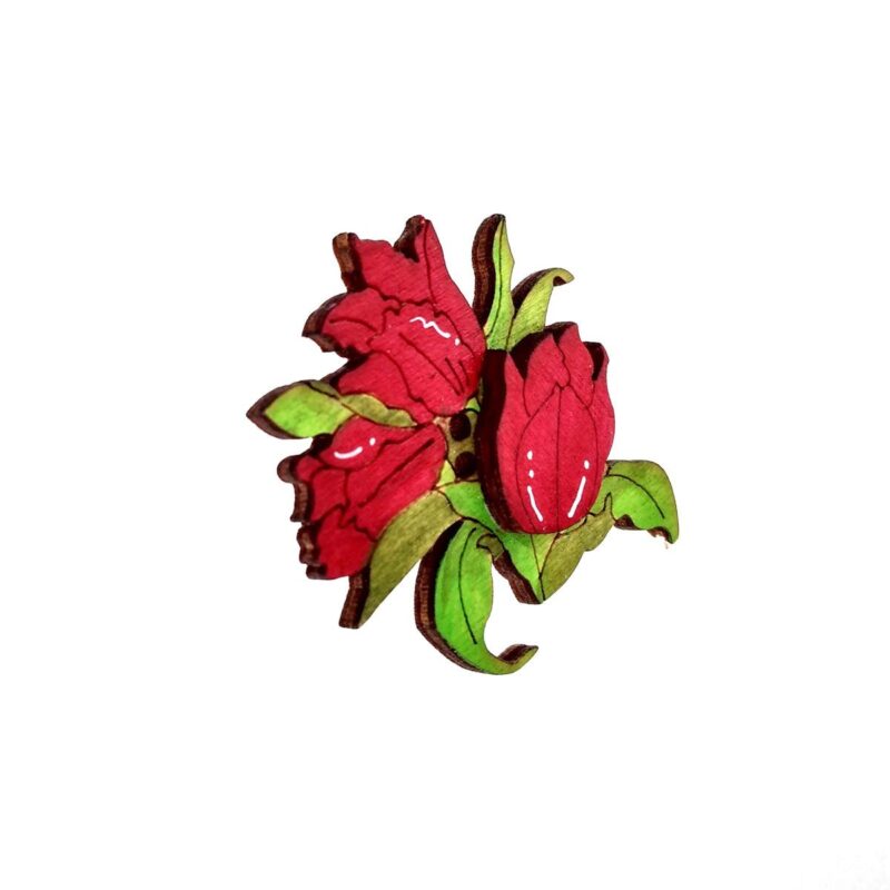 Flor Tulipanes HD - Imagen 3
